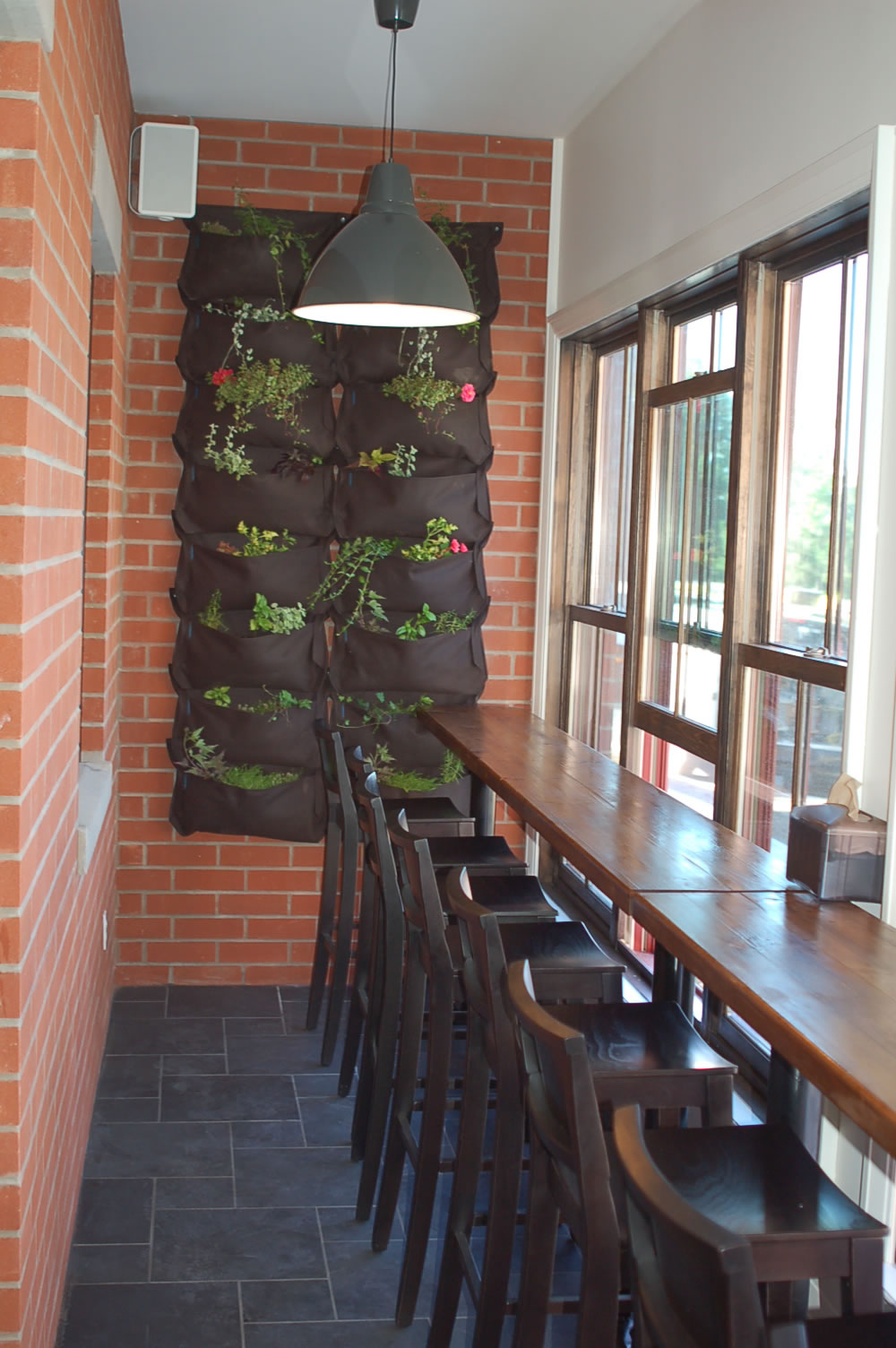 Alice's Village Cafe in Carp, Ontario